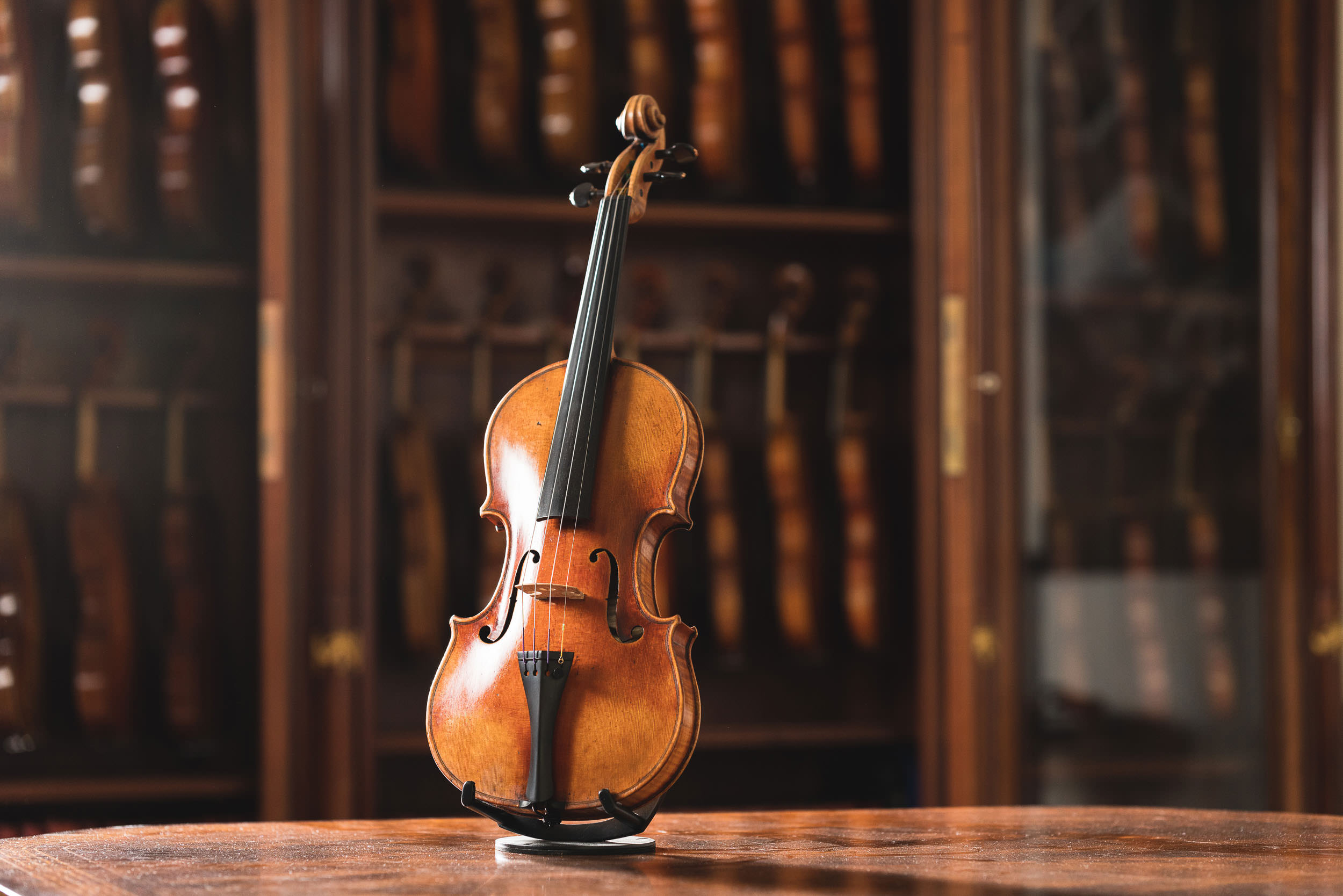 Commercial photograph of finished Florian Leonhard violin in front of cabinet
